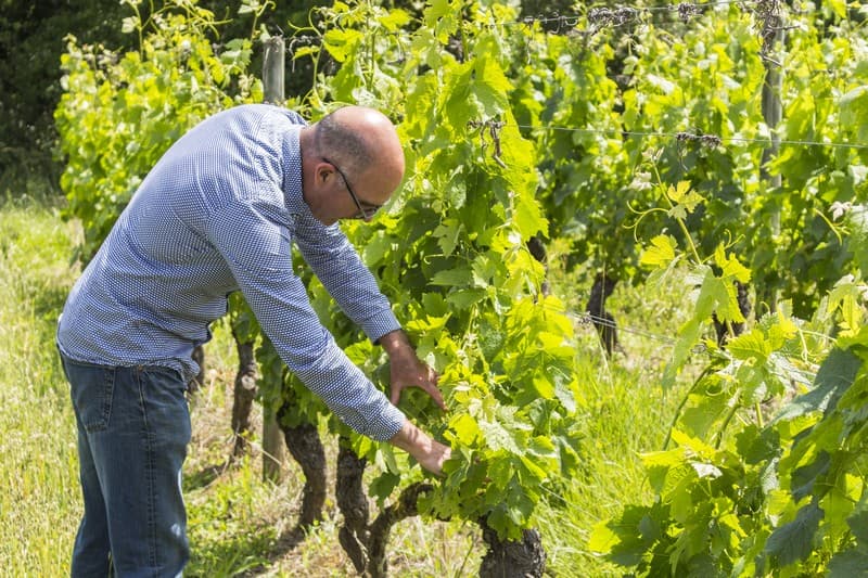 Domaine-Calbo--Albret-Tourisme-21-