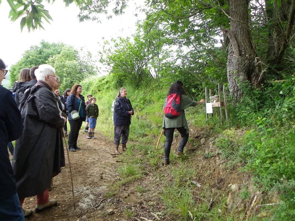 Domaine Gutizia, balade dégustation, aoc irouleguy, st etienne de baigorry (1)