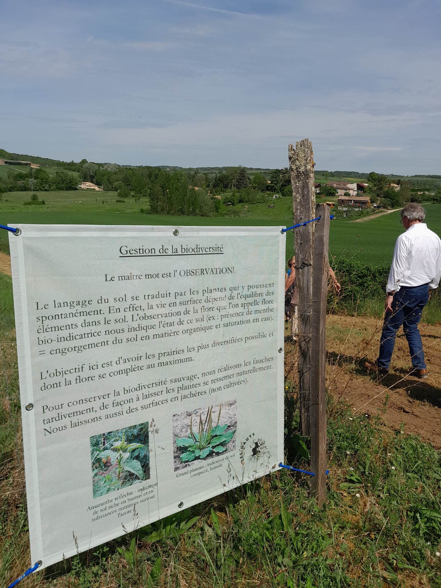 Domaine Hauts de Riquets sentier 2023 (8)