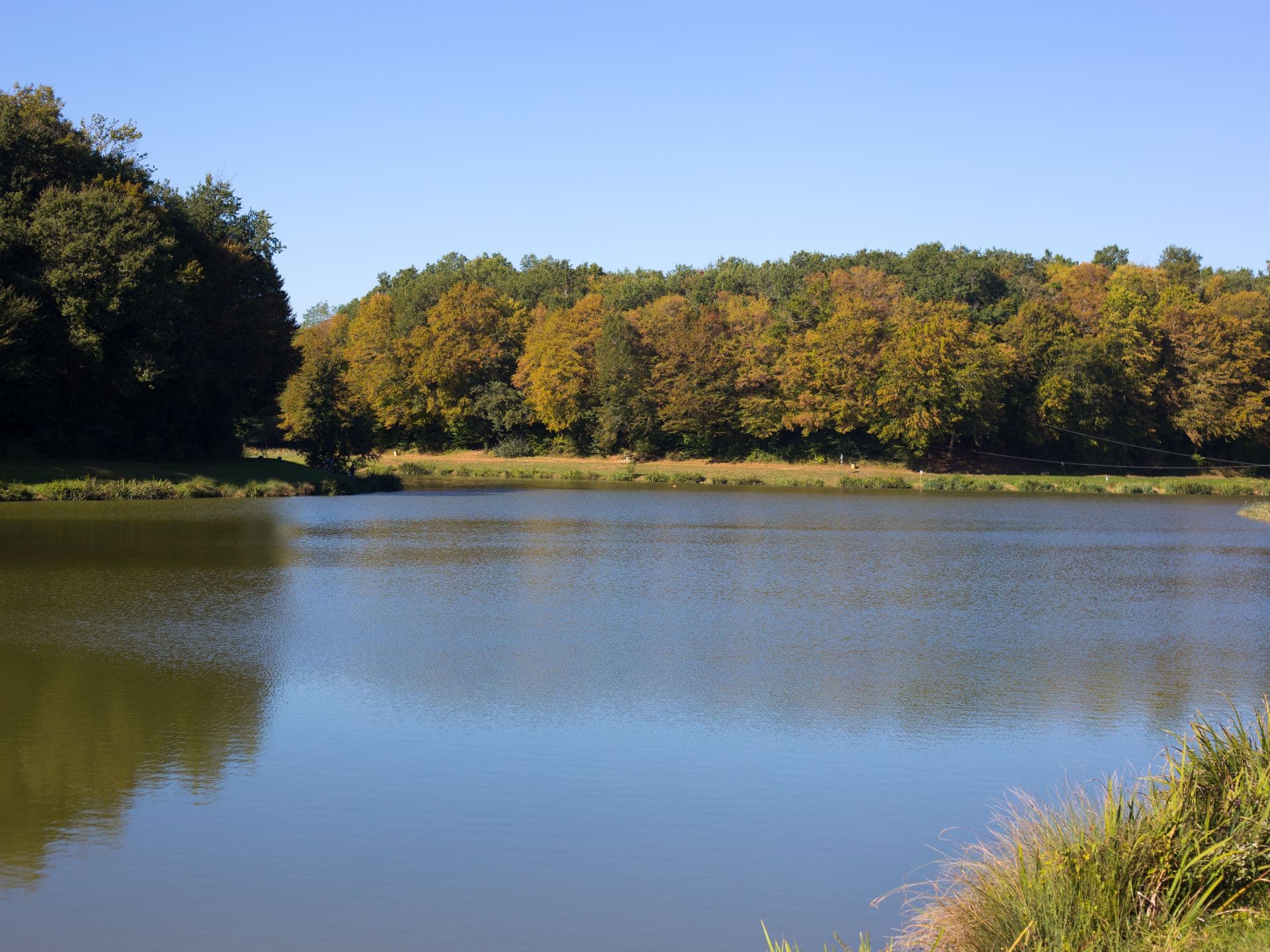 Domaine de nature et de loisirs de Blasimon