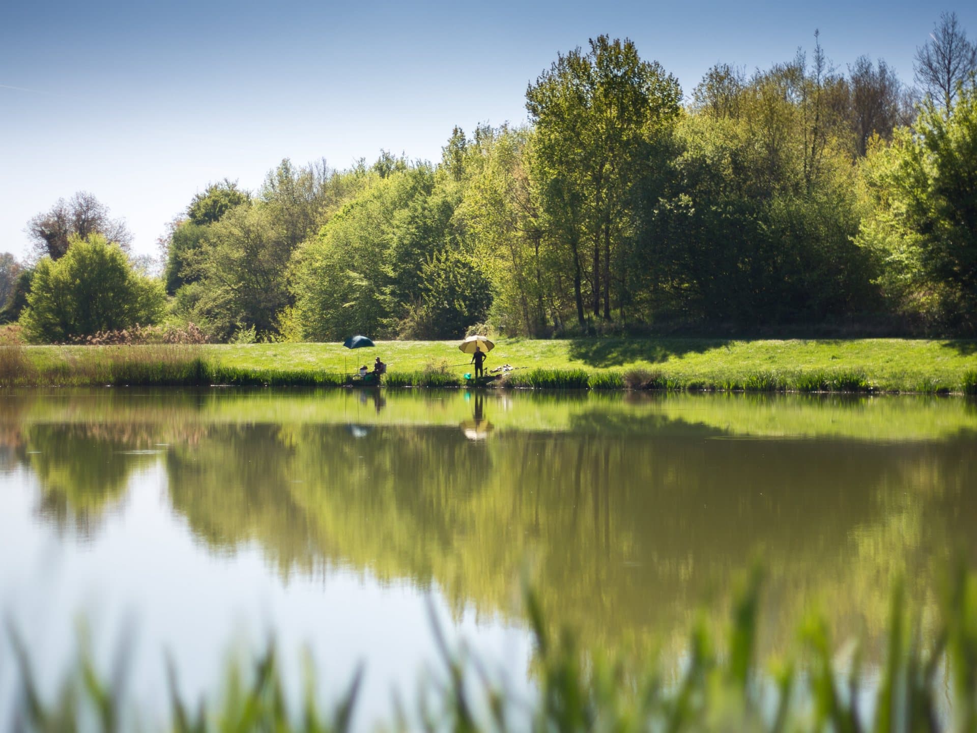 Domaine de nature et de loisirs de Blasimon