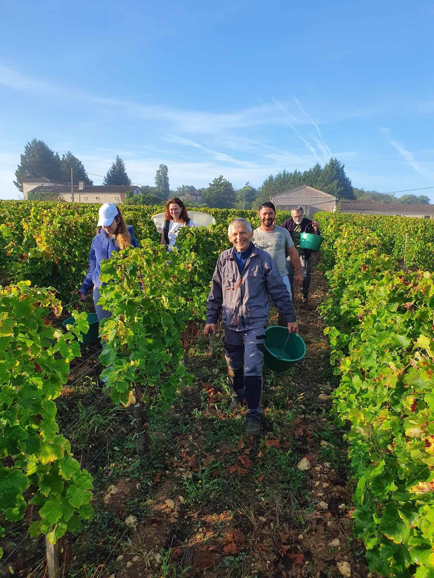 Domaine viticole 3