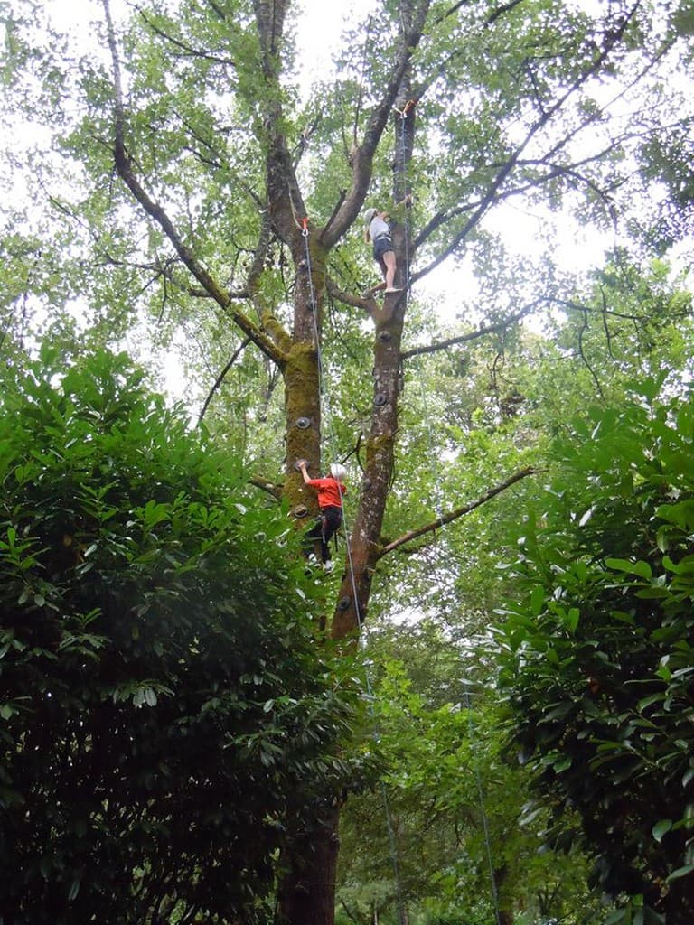 Escalad'arbres Pays d'Argentat_5