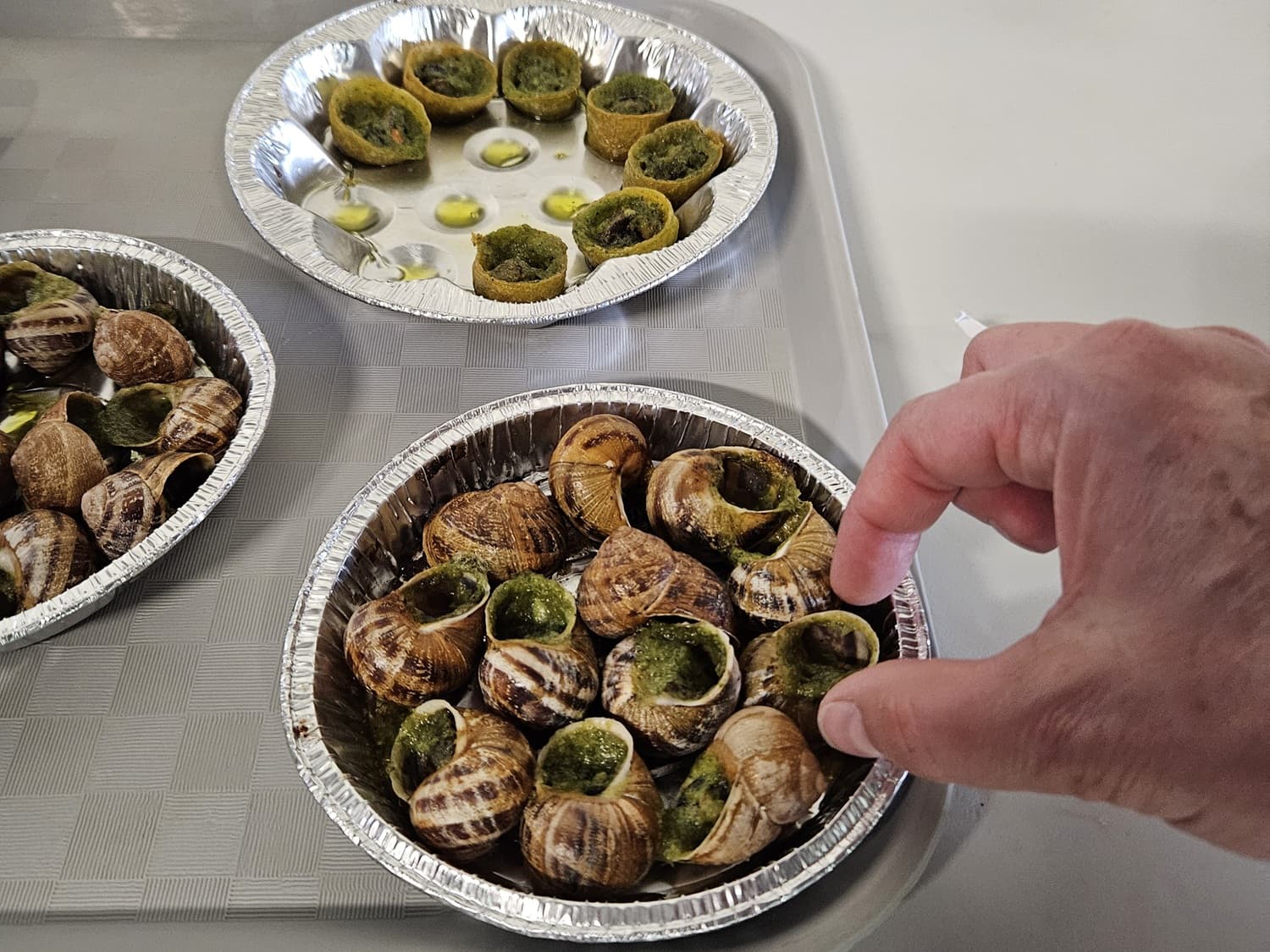 Escargots 2