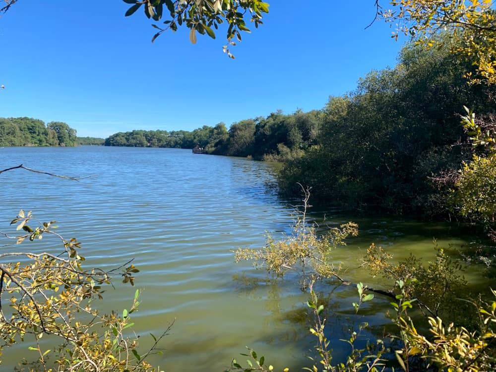 Réserve Naturelle Etang Noir