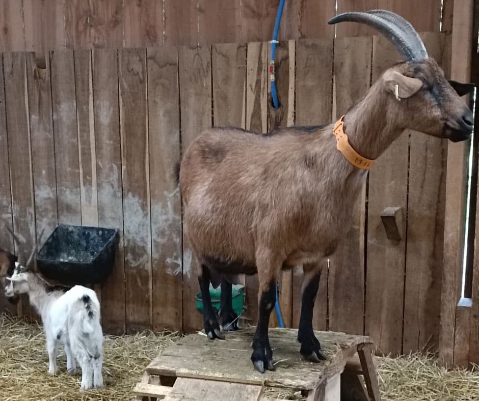 FERME DES DELICES