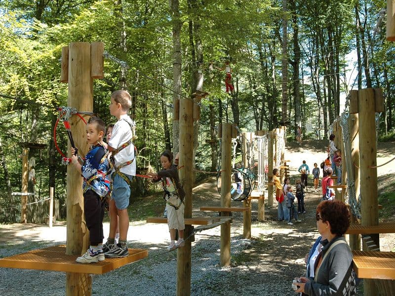 FORET SUSPENDUE