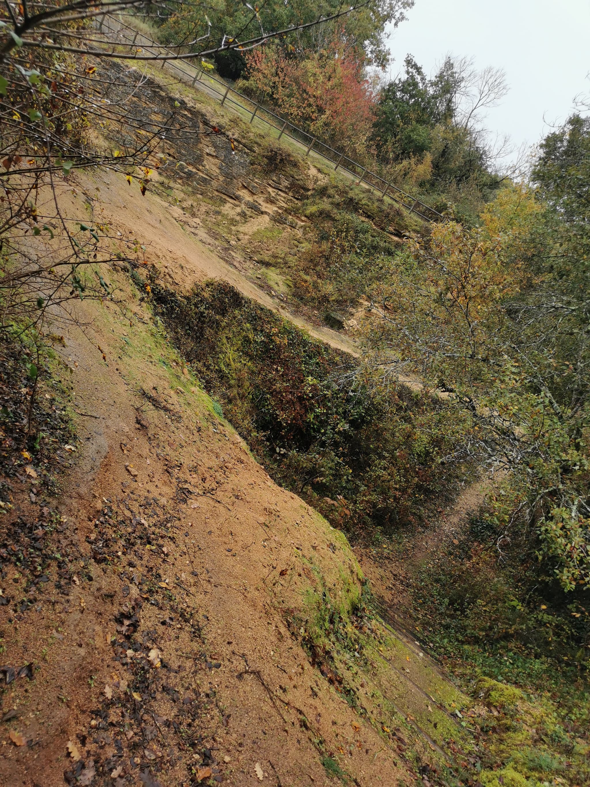 Falunières d'amberre