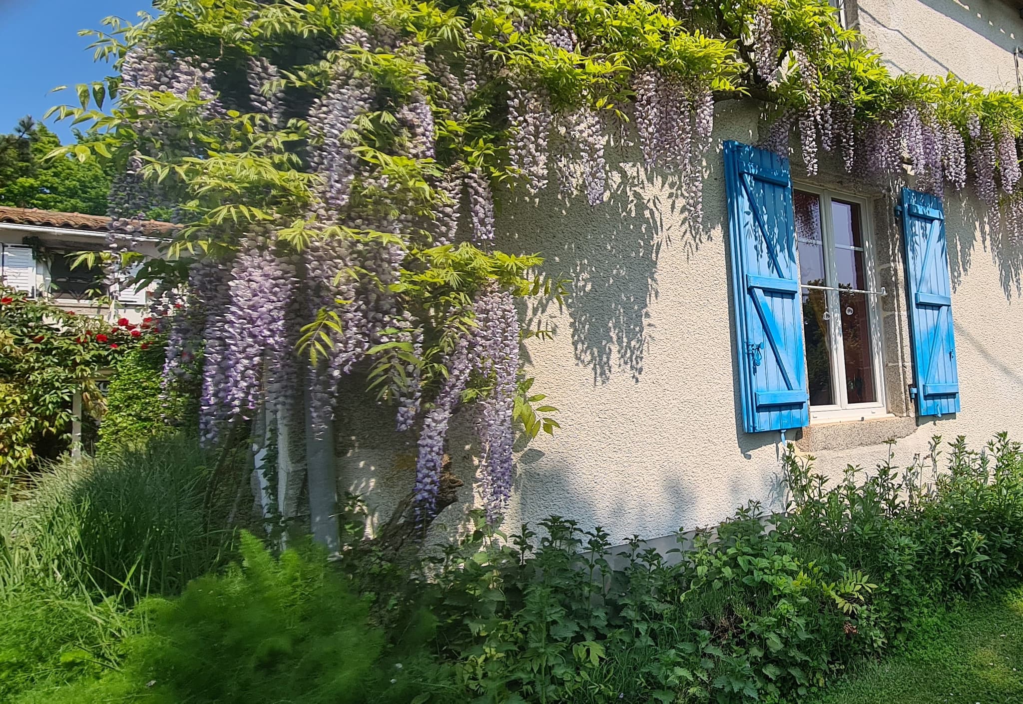 Fenêtre sud est