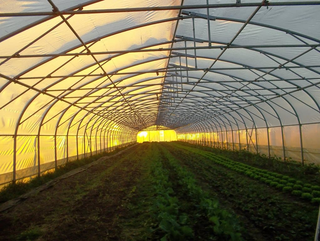 Ferme Coumet - Serre ensoleillée
