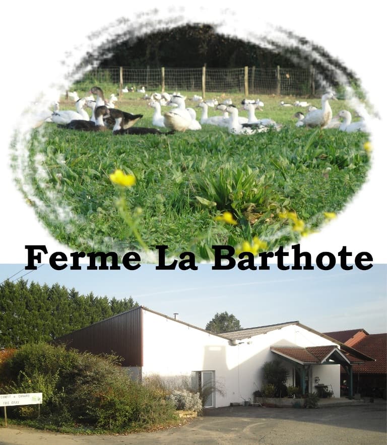 Ferme La Barthote_Sainte Marie de Gosse_Landes Atlantique Sud