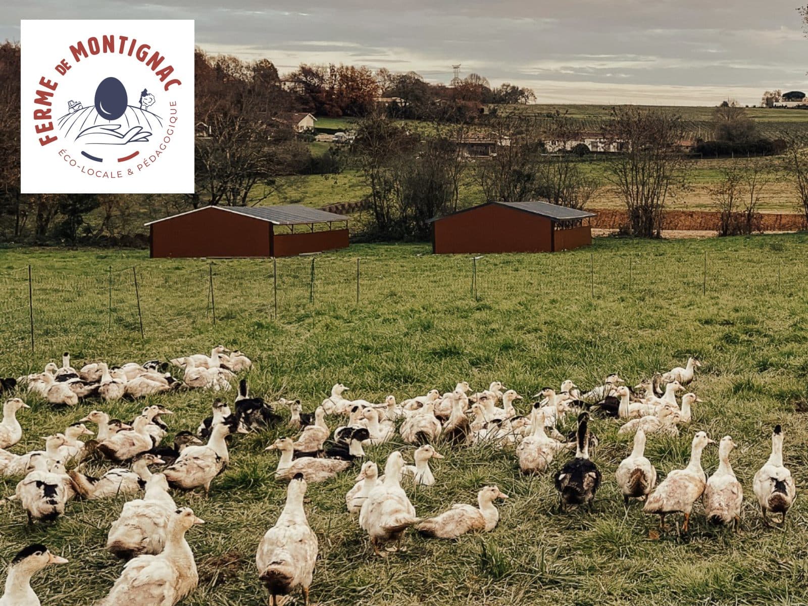 Ferme de Montignac