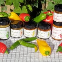 Fermentades Poitevines