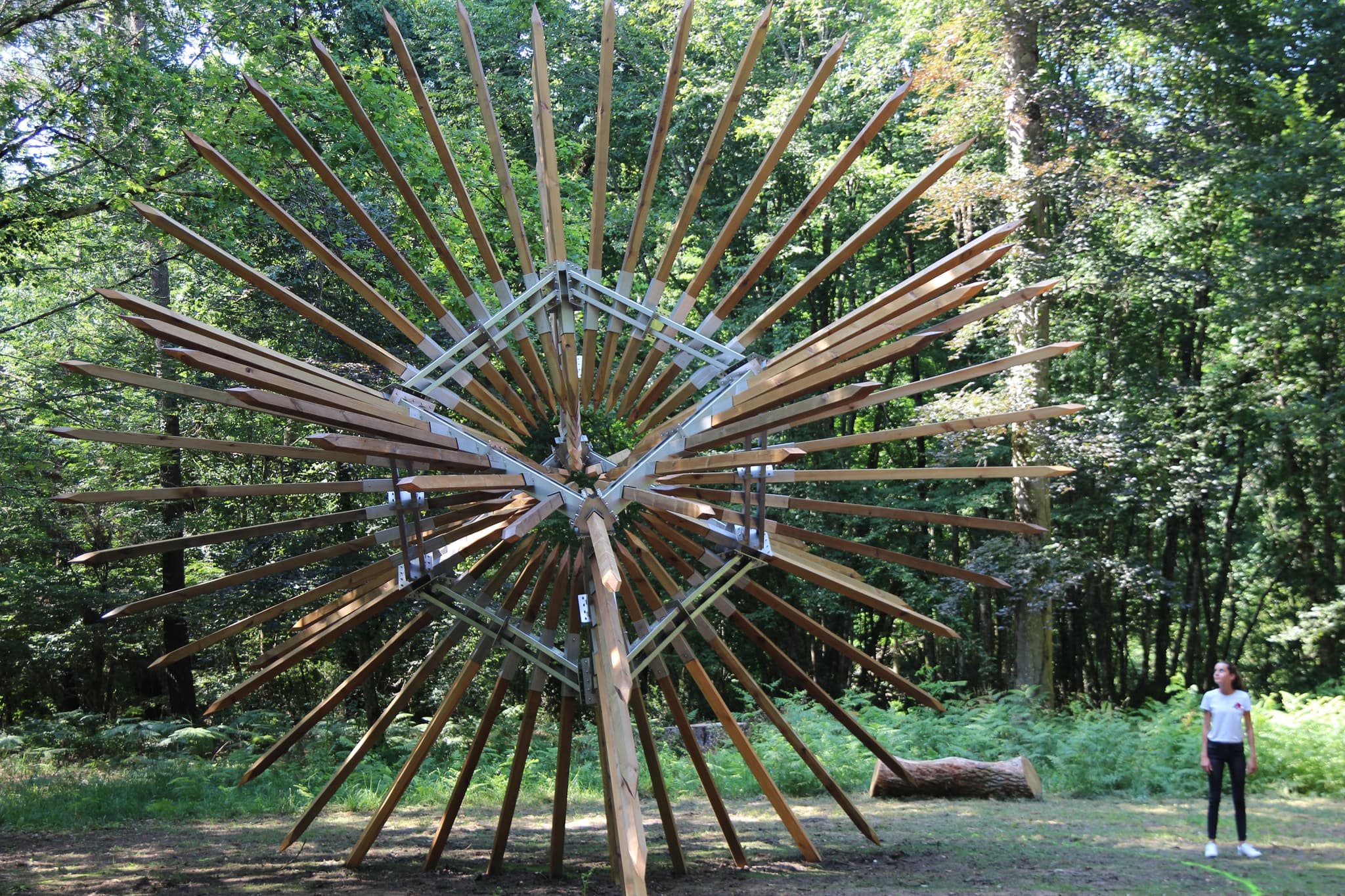 Foret-des-sens