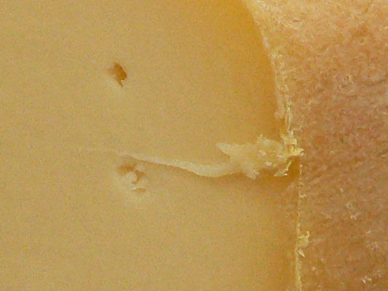 Fromage en Coupe