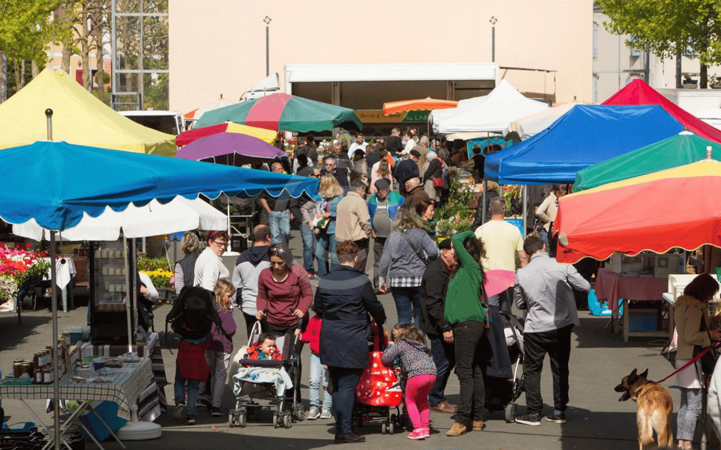 Marché traditionnel Mauléon - Soule - Pays Basque