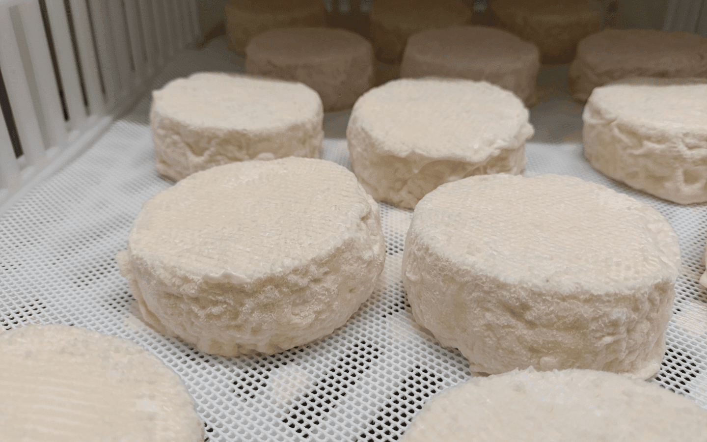 Fromages - Soule