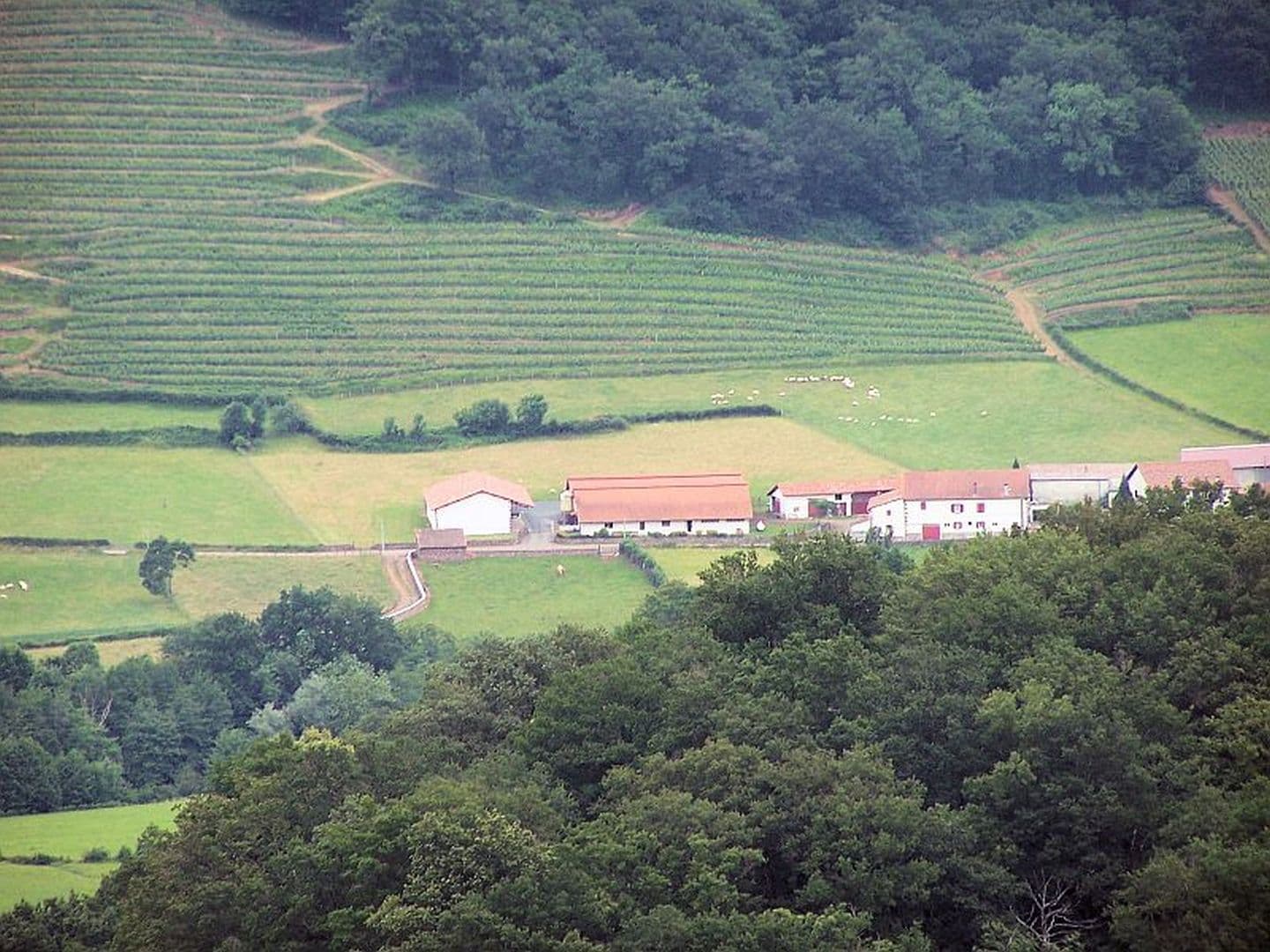 Fromage TAMBOURIN - vue exploitation