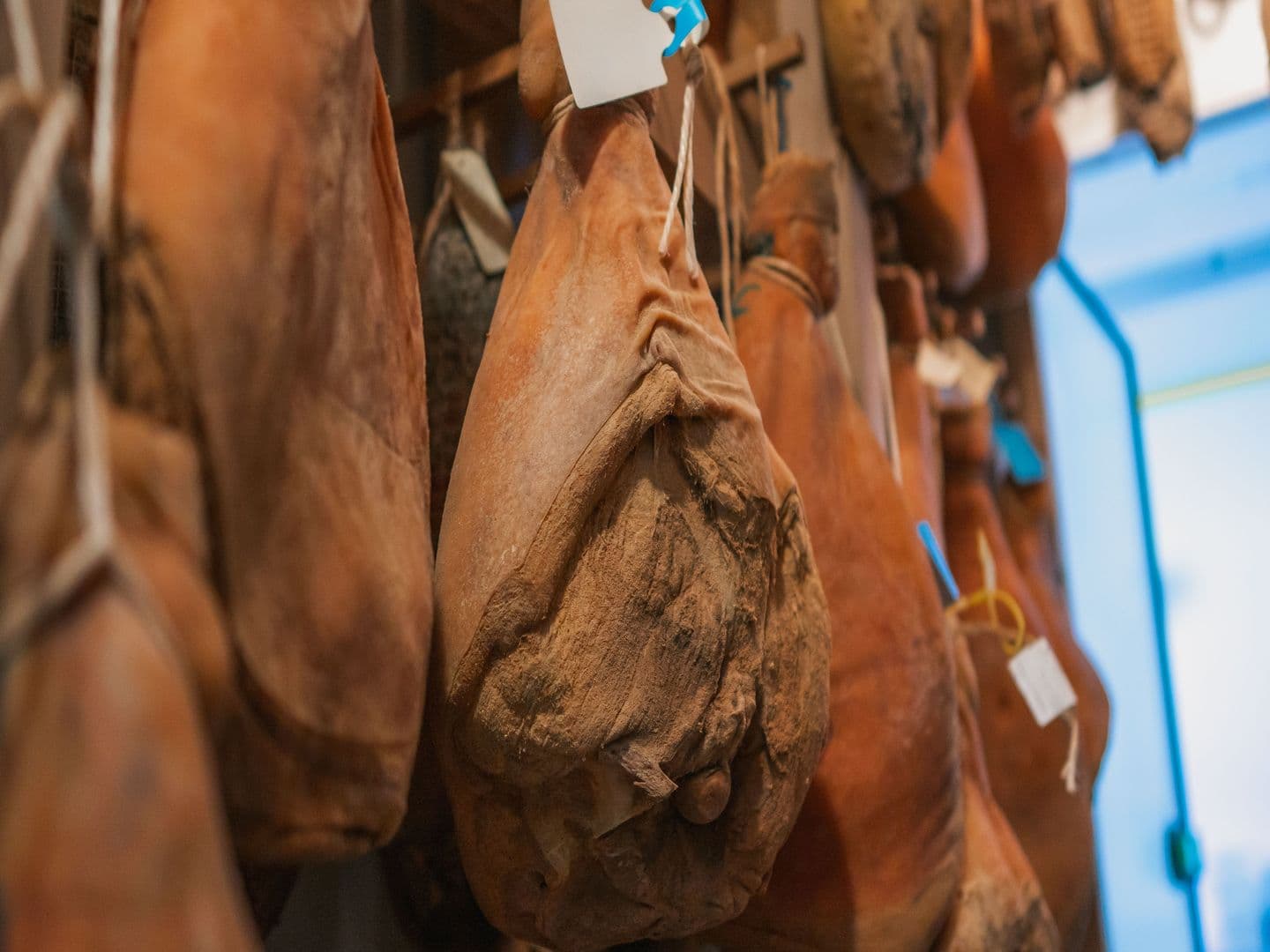 Garlin Ferme Porc & Pink crédit Minja janv 2023 (8)