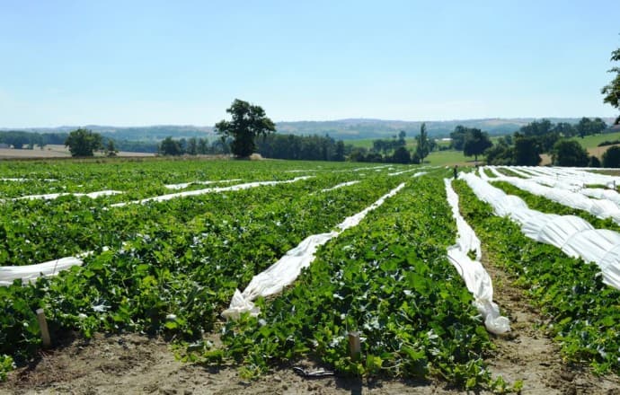 Gite-Couyrasse-16