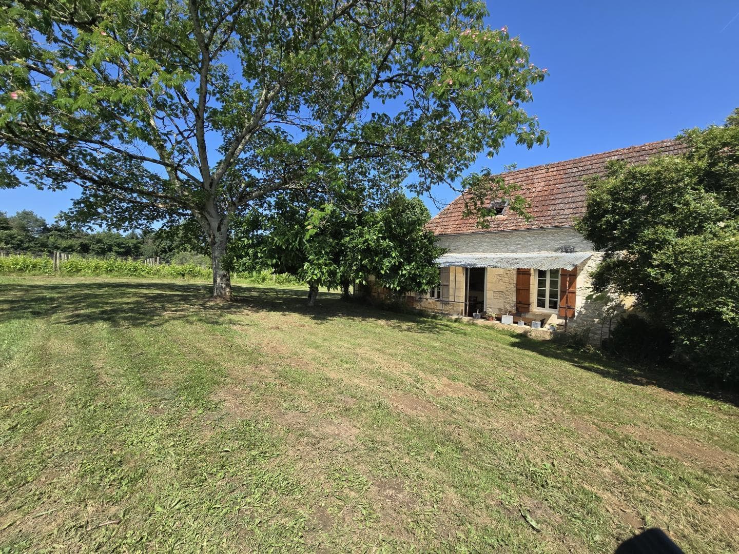 Gite La Ferme et son Vignoble