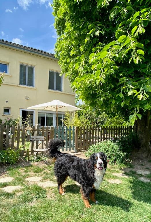 Gîte Les Hortensias - extérieur 2