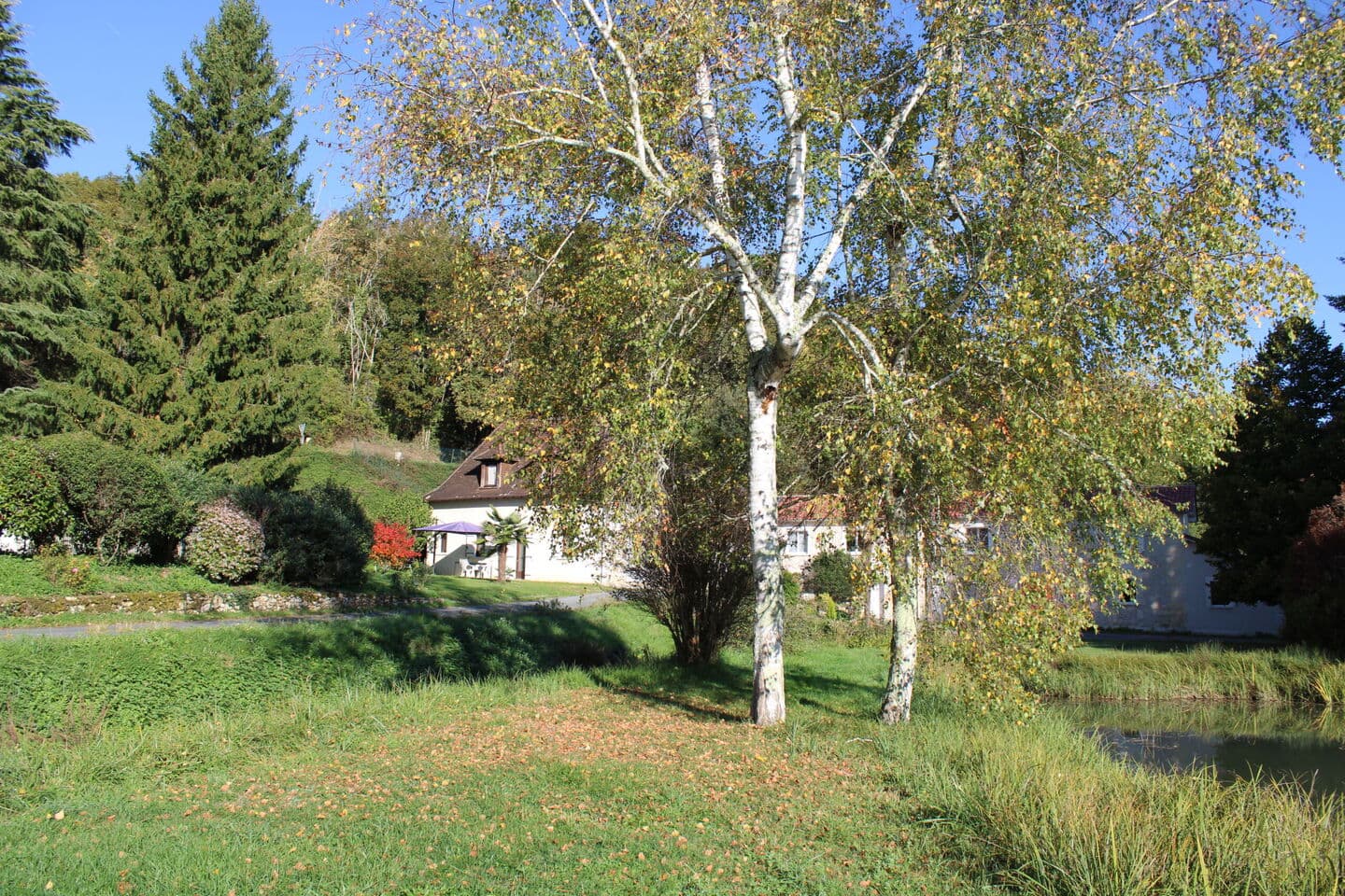 Gîte et étang