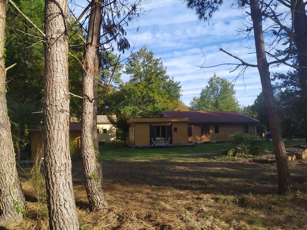 Paysage boisé