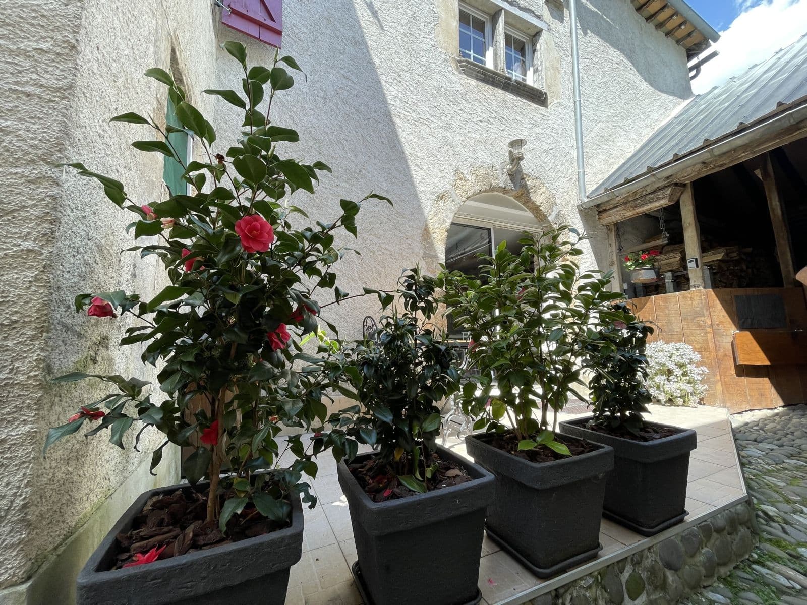 Gîte l'Ecurie - Terrasse