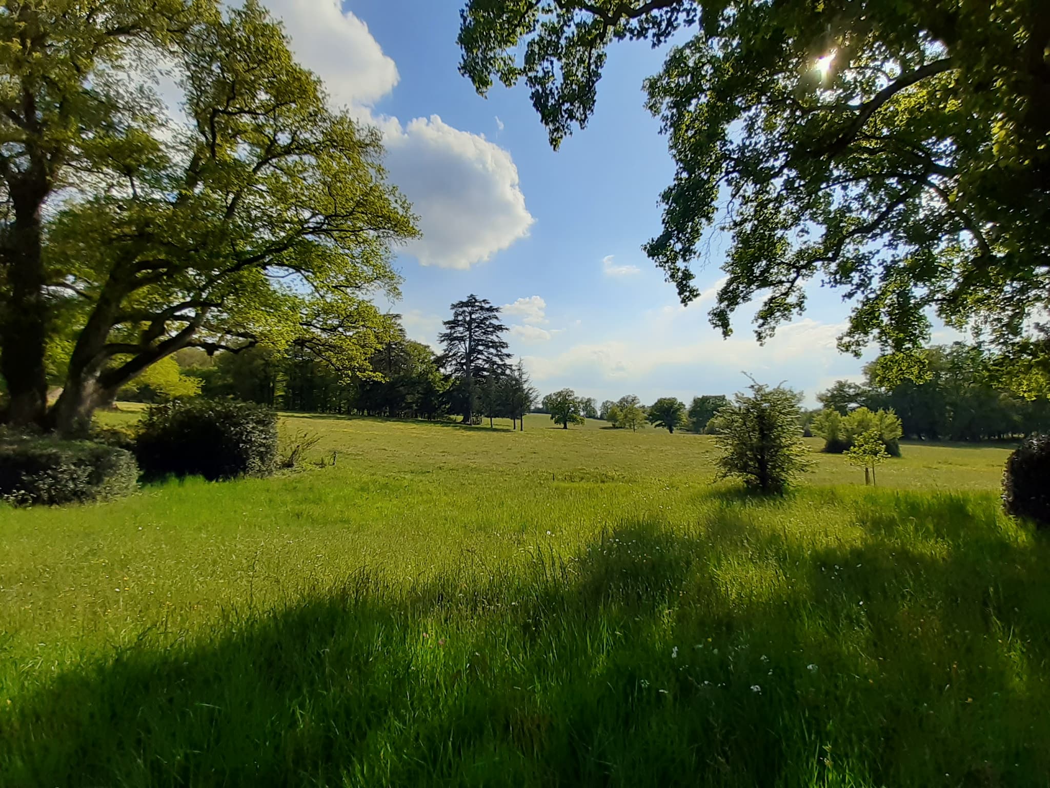 Grand paysage