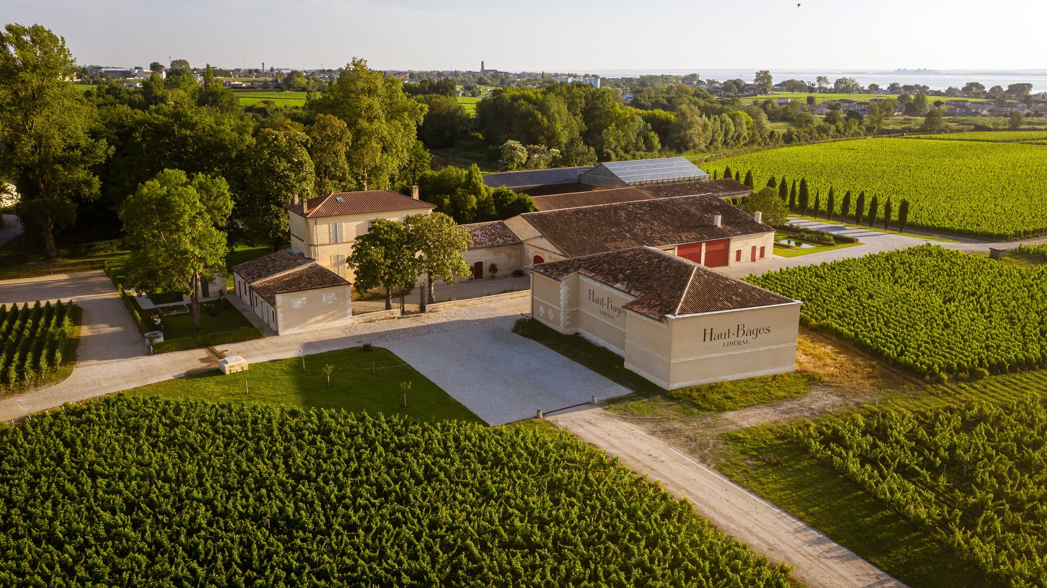 château haut bages libéral 5
