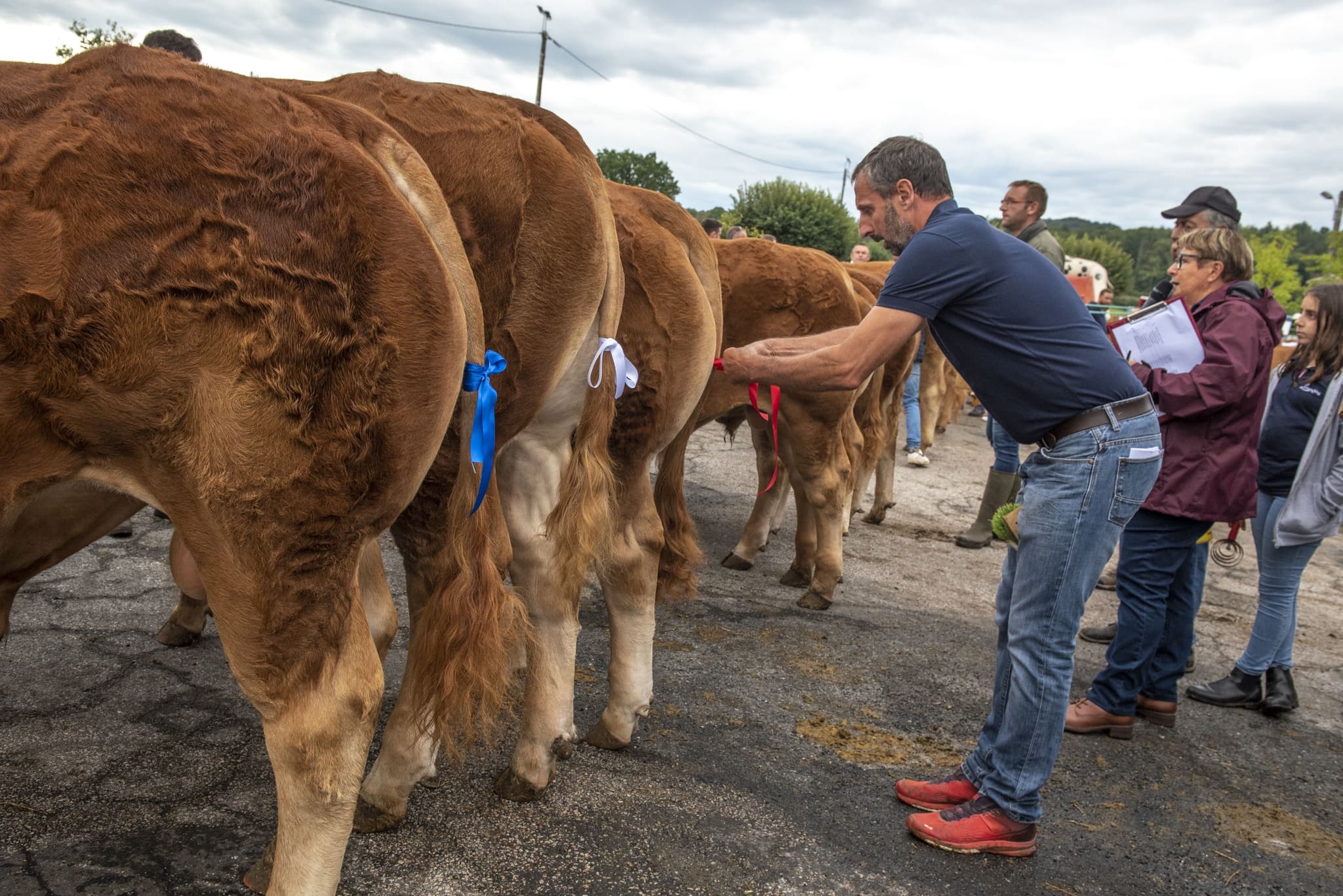 Comice agricole