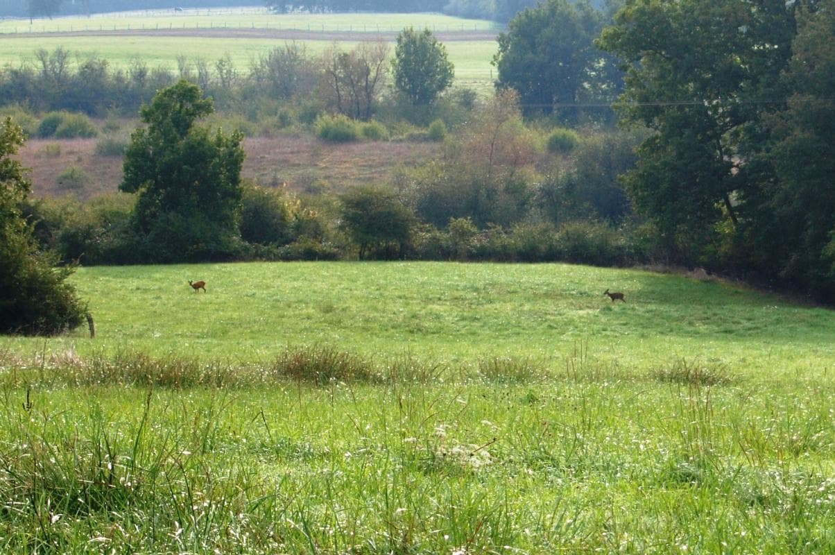 HLOAQU047V50O5VF_Poudenas_HillonPommier_photo19