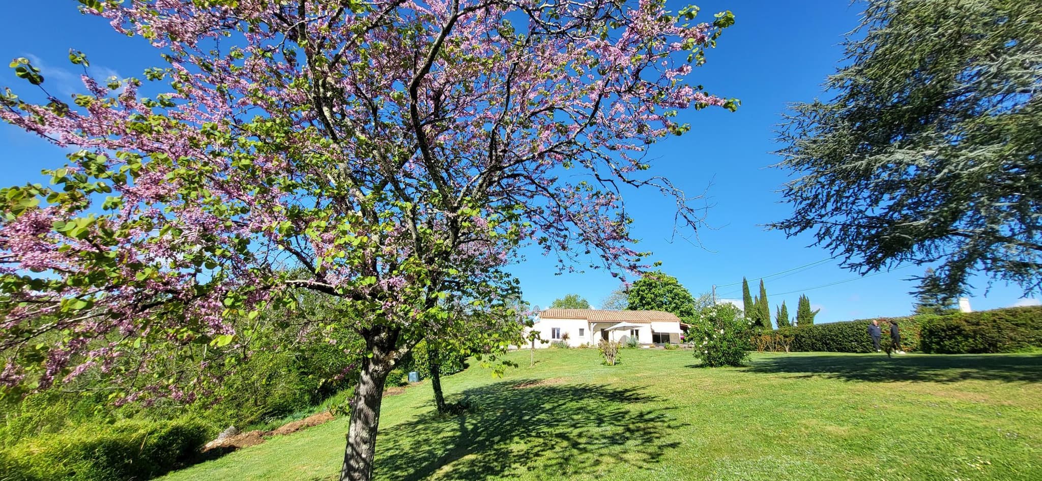HLOAQU047V50O5X9_Soumensac_MaisonLac_photo24