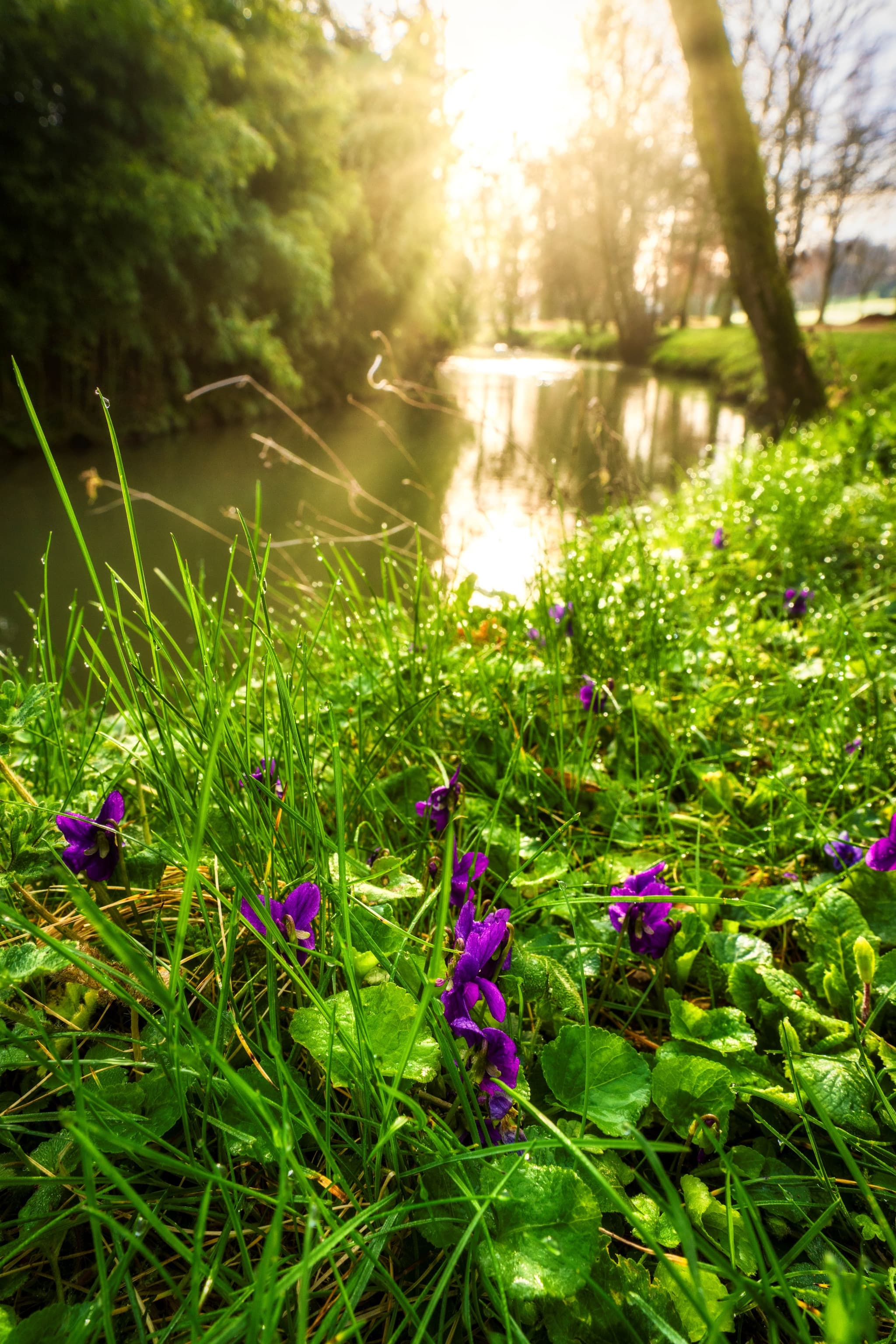 Hagetmau_Sentier des Meuniers_Nature_Rivière_@LRC Photographie
