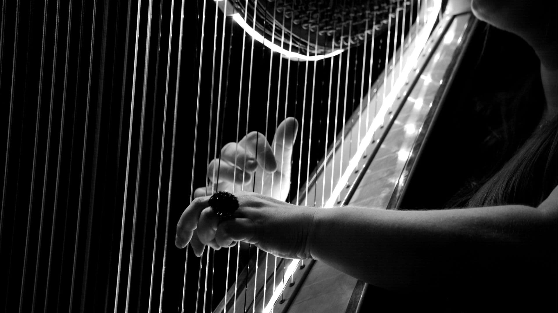 Coeur de Béarn Agenda - Harpe - LUCQ DE BEARN