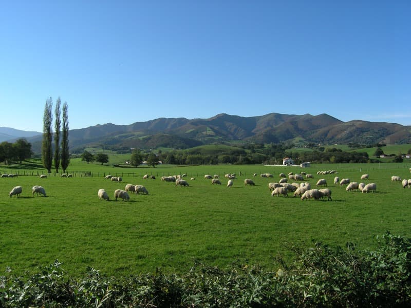 Harrieta : vue sur le mont Baigura