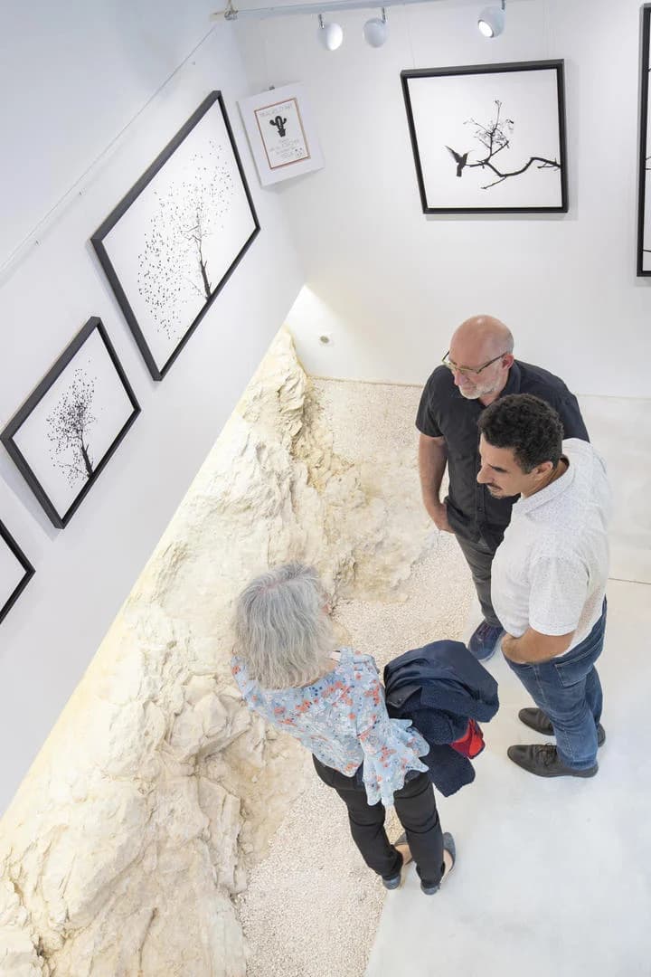 Hors-série - galerie d'art photographique