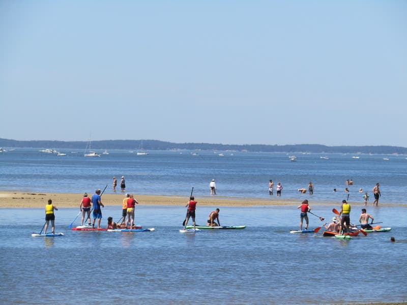 Excursion Paddle
