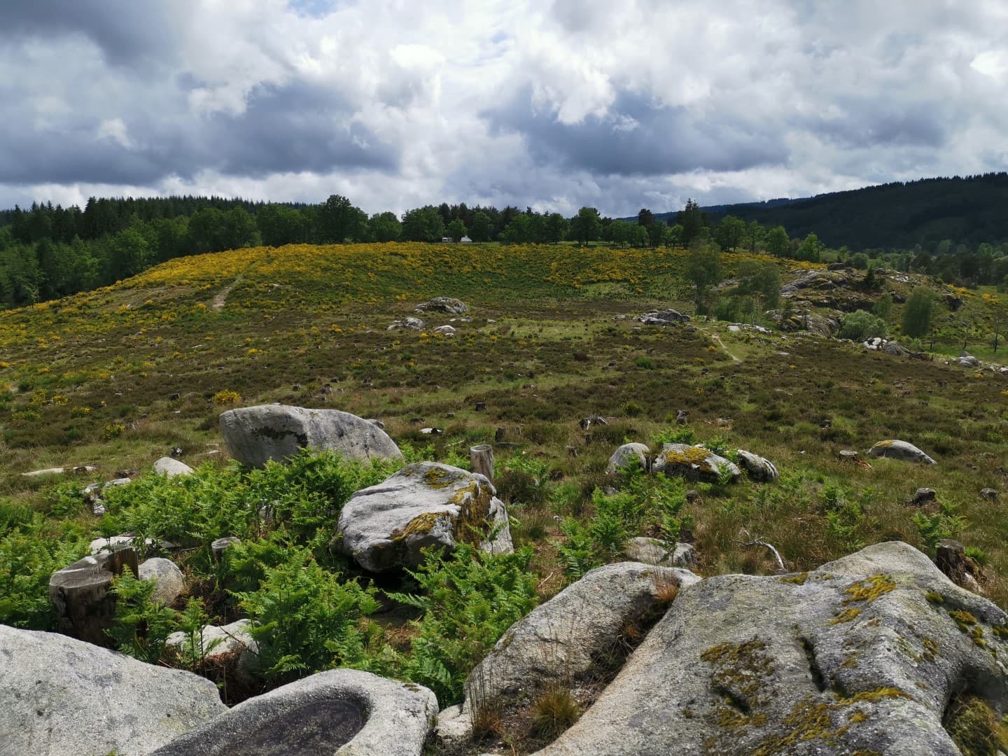 Landes de la Mazure