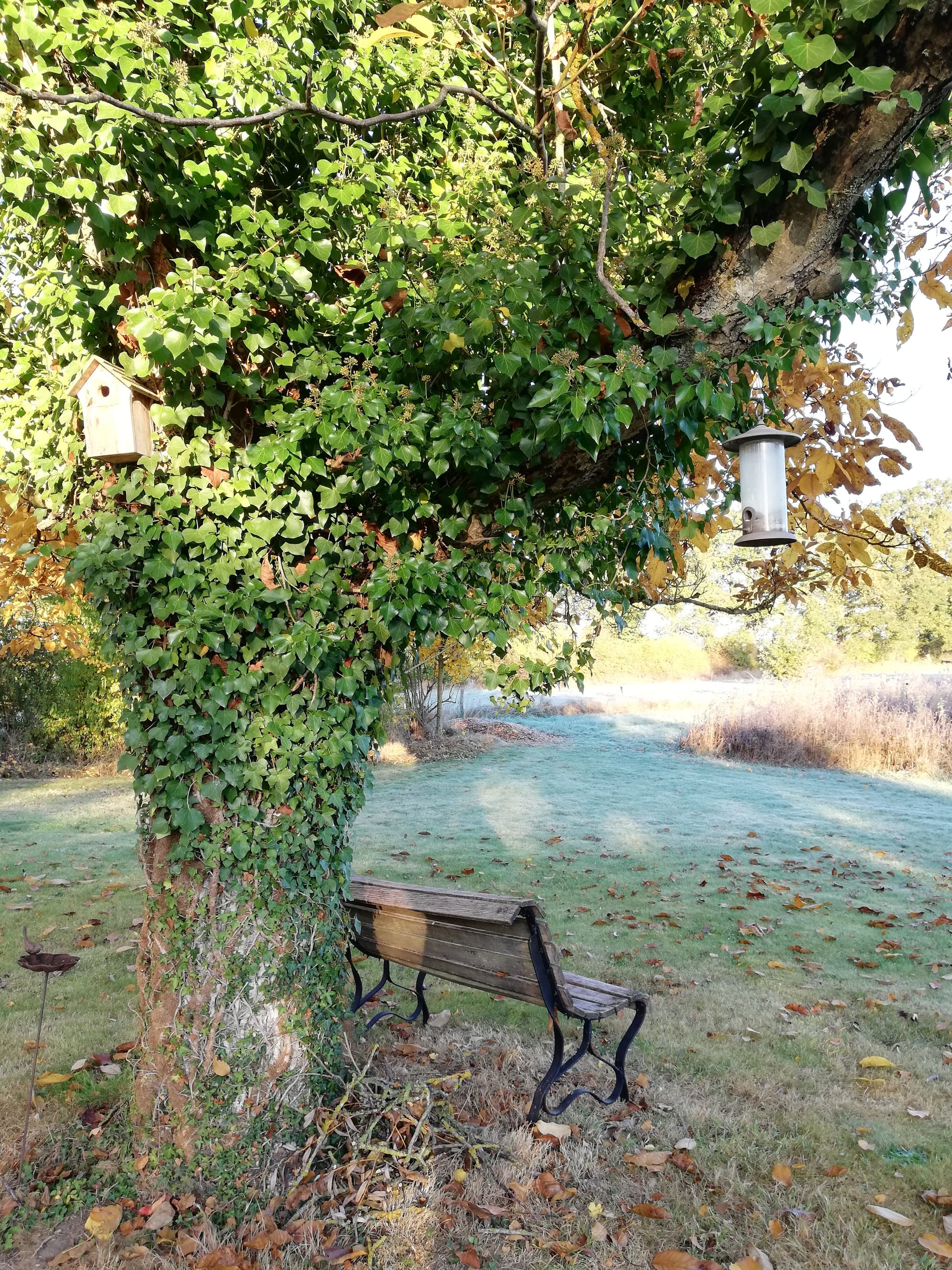 En hiver