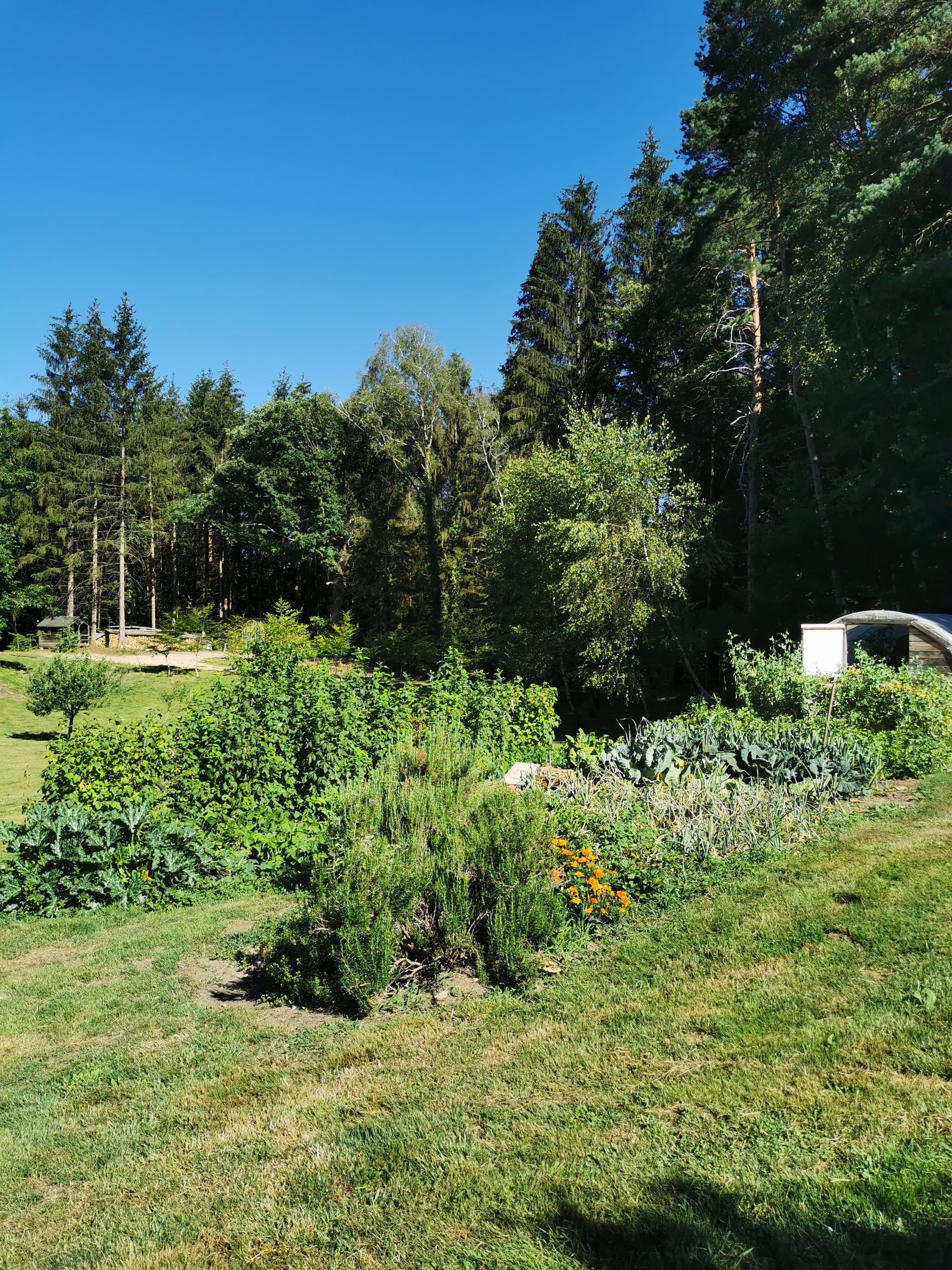 Le potager_6