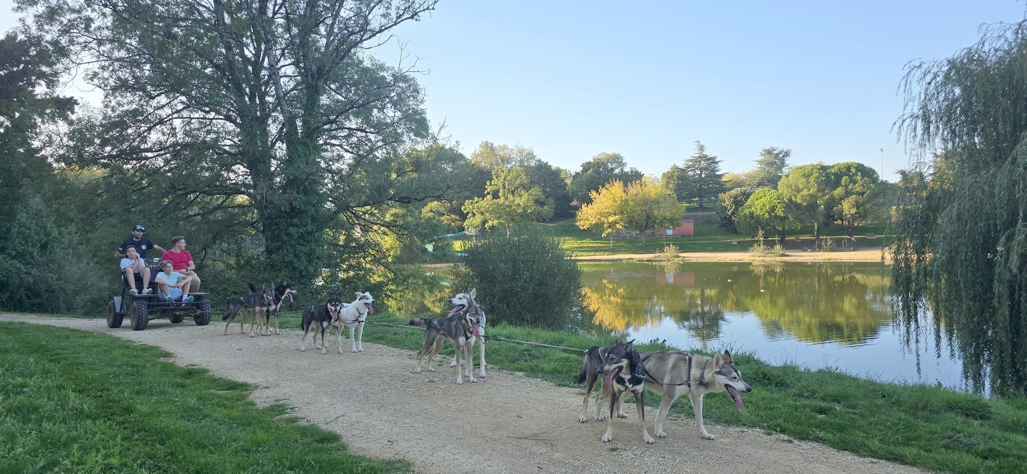 Immersion-mushing©sbonnet-departement