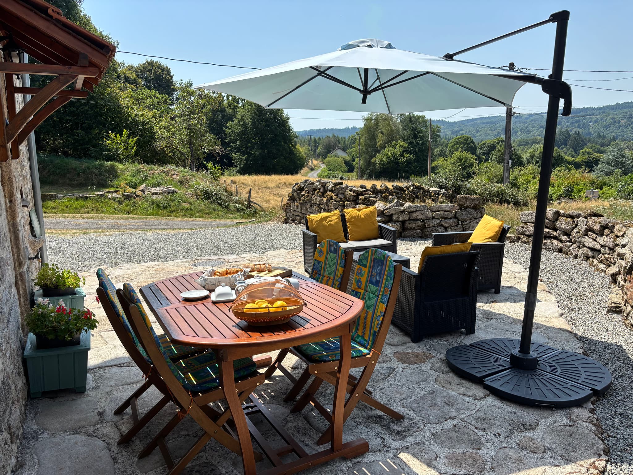 IMG_2593