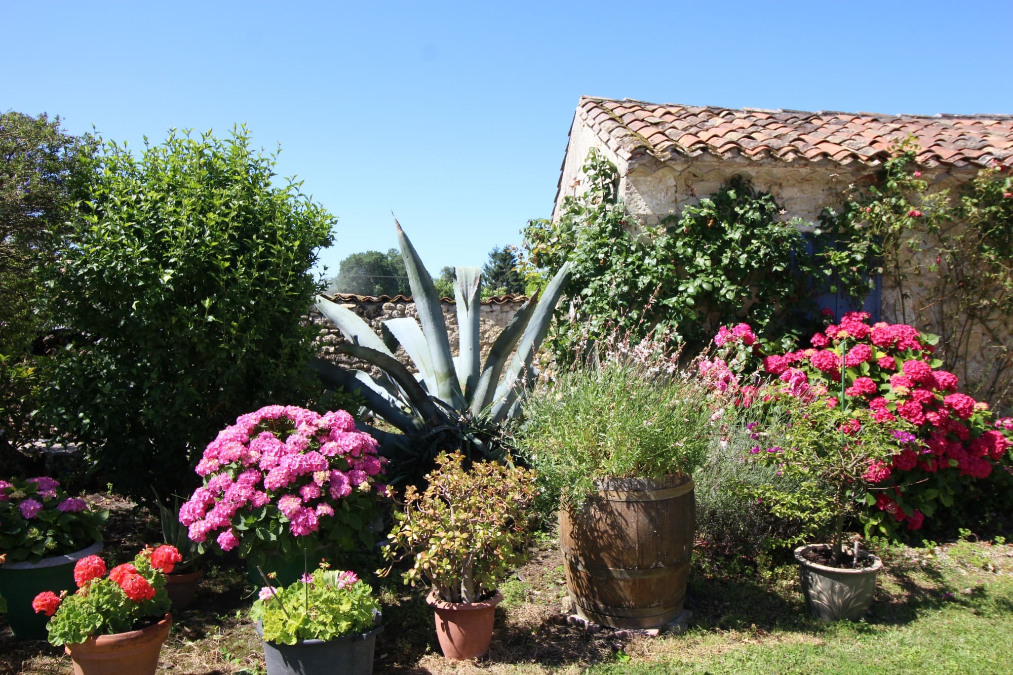 gîte-de-potensac-14