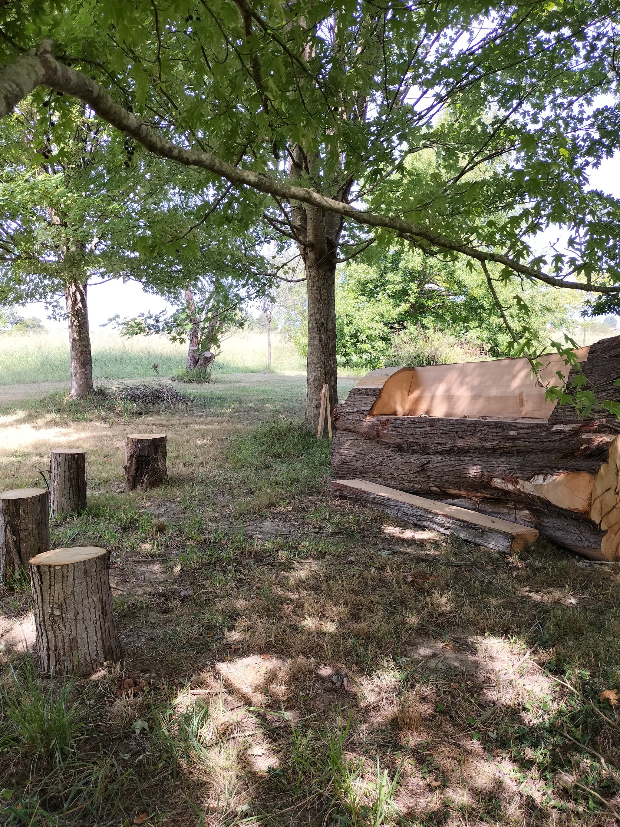 Parc au Manoir - foret comestible - domaine de bassilour bidart