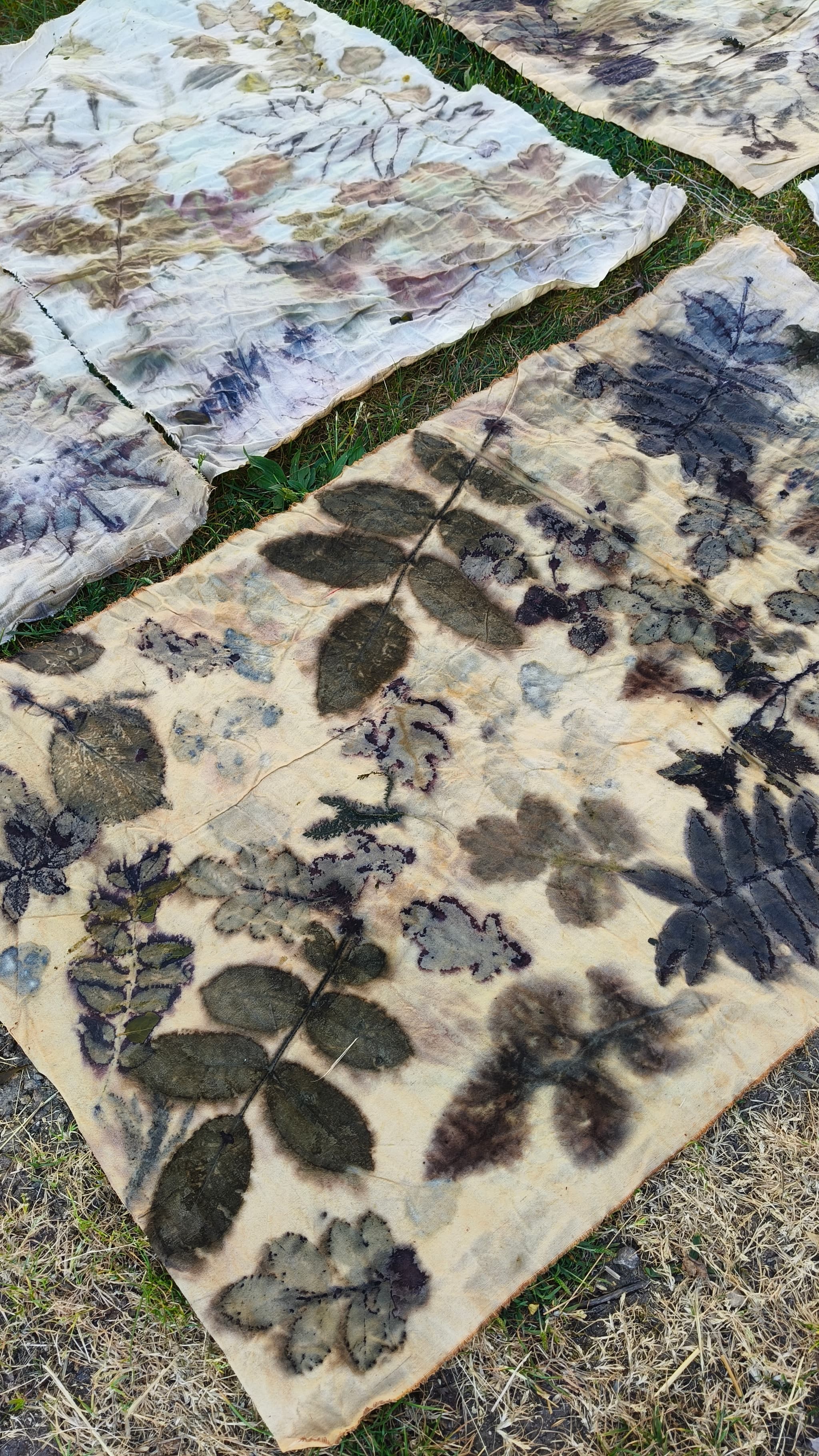atelier et stage impression végétale par ecoprint à Luchapt