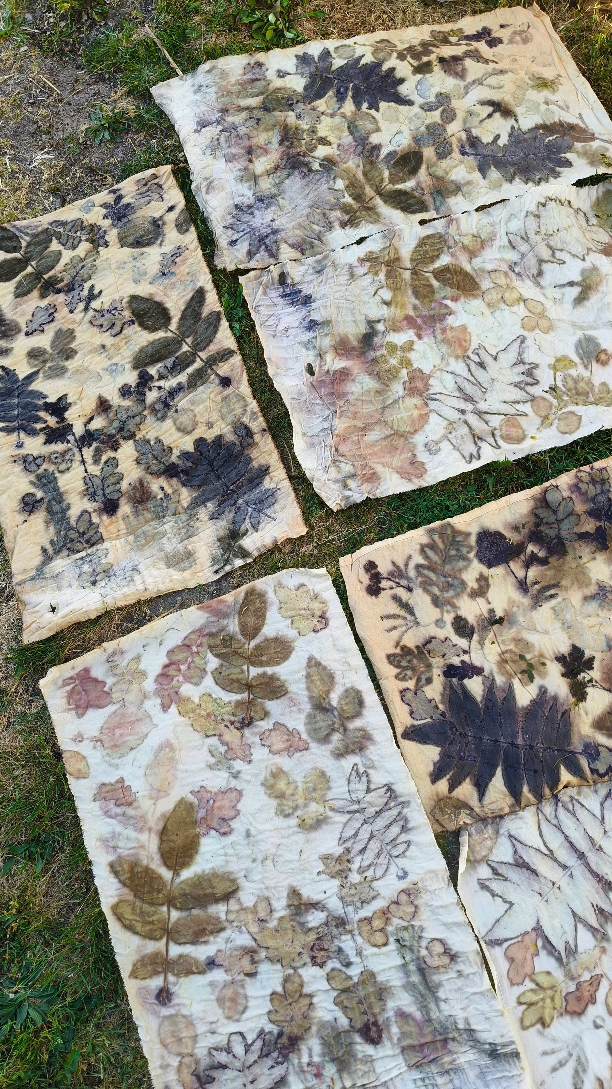 atelier et stage impression végétale par ecoprint à Luchapt