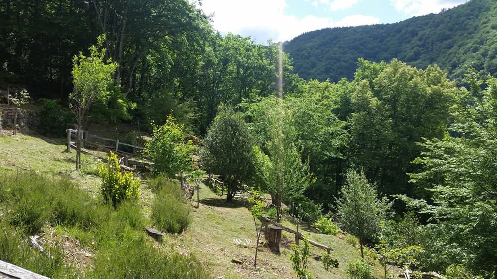 Le jardin de Bardot_3