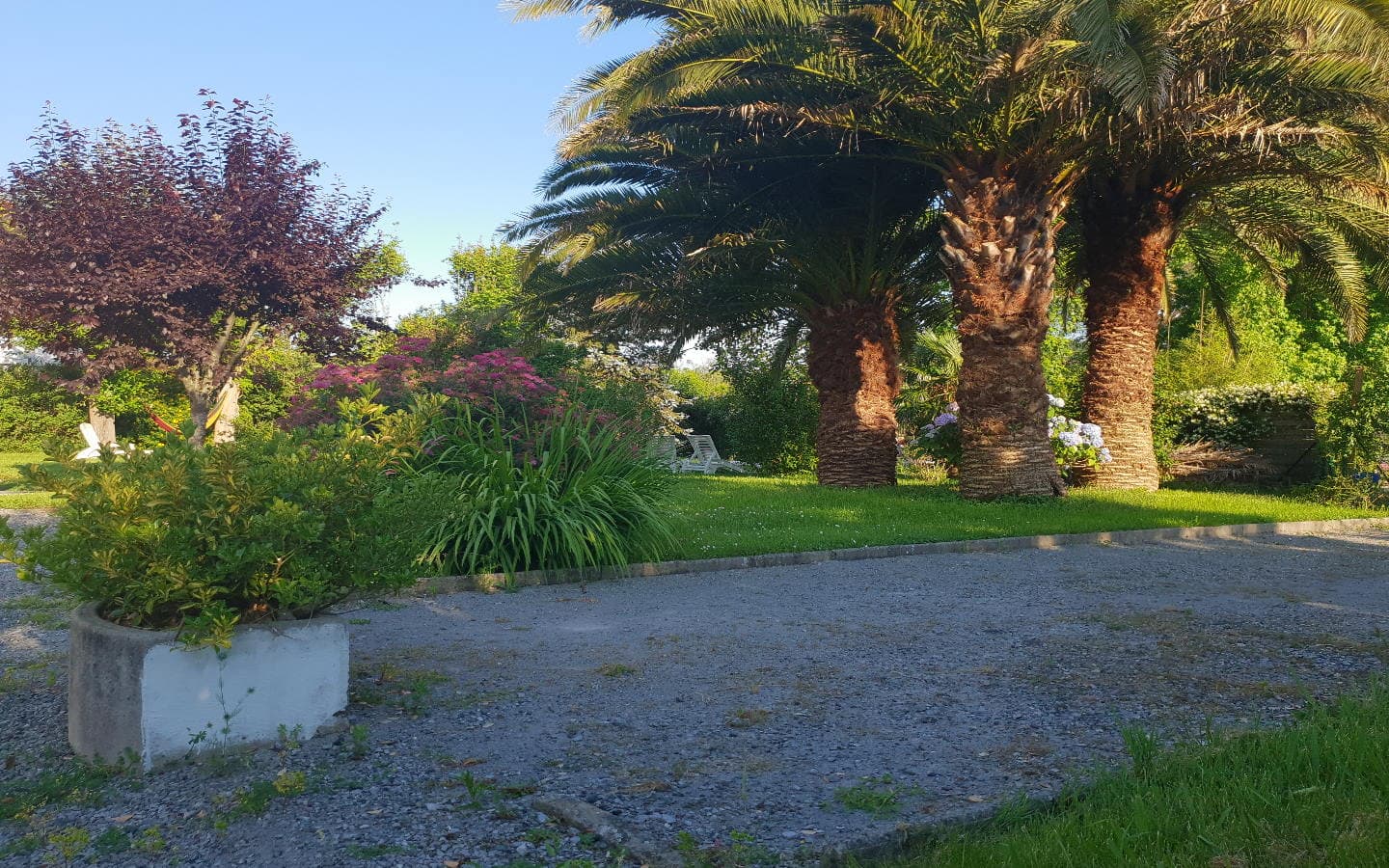 Jardin